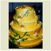 Bee Hive