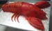 crawfish