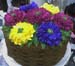 Flower-04
