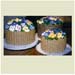 Flower-19