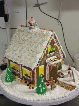 Holiday-29